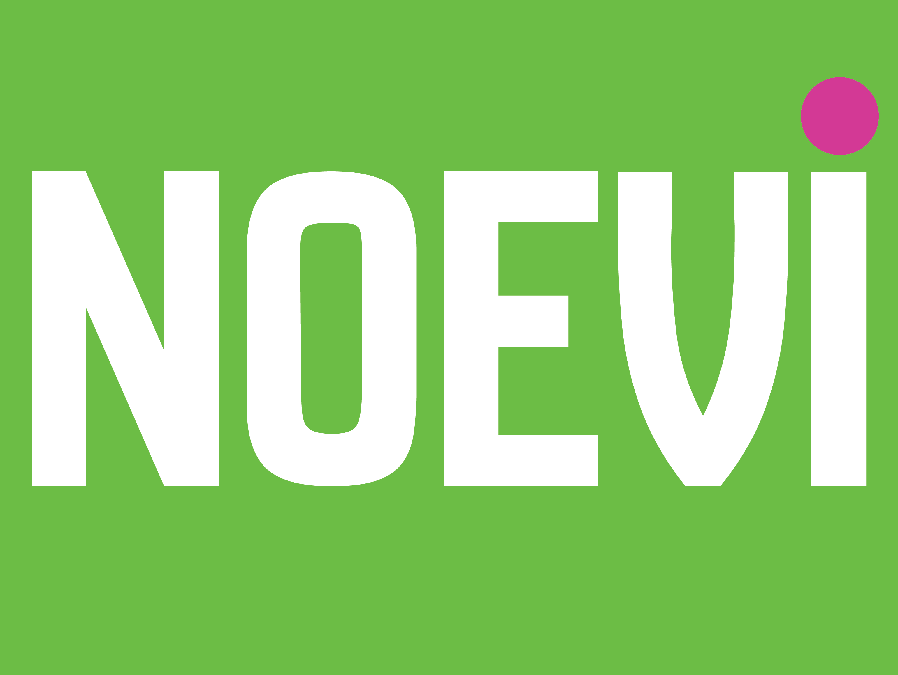 noevi logo